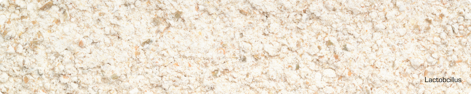 Een gedetailleerde weergave van fijn wit poeder, representatief voor Lactobacillus fermentatiedie wordt gebruikt in huidverzorging.