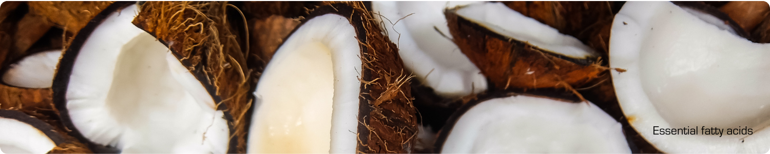 Close-up van verse, opengebroken kokosnoten met wit vruchtvlees, gebruikt als plantaardige basis voor essential fatty acids