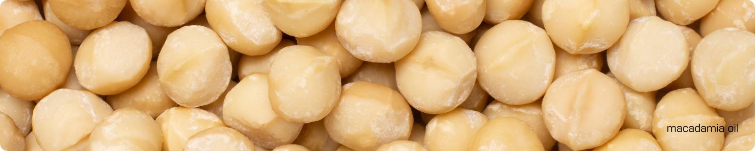 Een verzameling gepelde, ronde macadamianoten met een gladde, crème-achtige textuur, de basis voor deze verzorgende olie.