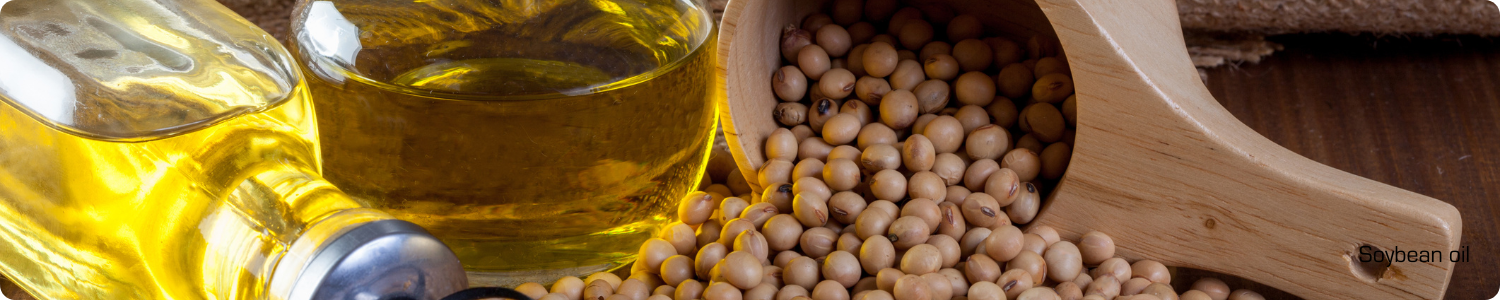 Glazen flessen gevuld met heldere sojaolie naast een houten schep met gedroogde sojabonen op een rustieke ondergrond.