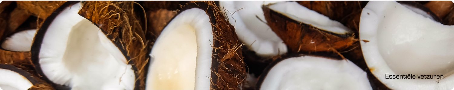 Meerdere opengebroken kokosnoten met wit vruchtvlees, een rijke bron van essentiële vetzuren.