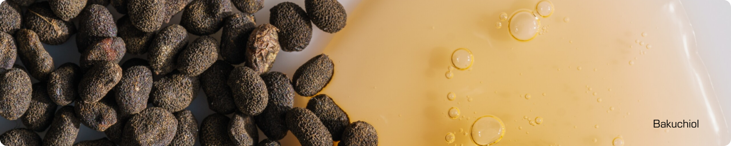 Donkere, korrelige zaden van de Psoralea corylifolia plant naast een goudkleurige, stroperige olie met luchtbelletjes.